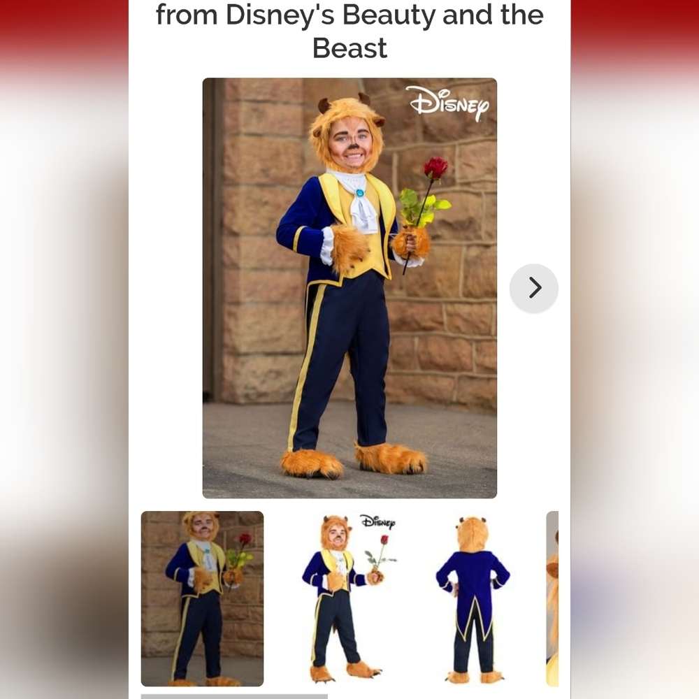 Toddler 4T Beauty and the Beast Costume